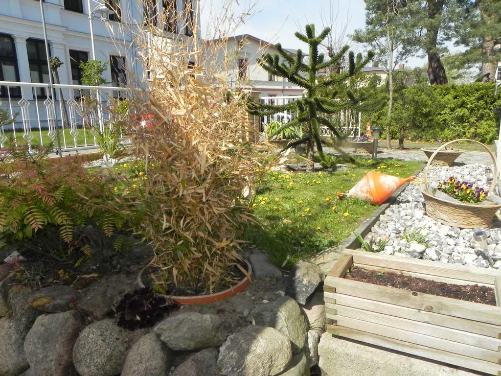 Strandnahe Ferienwohnungen Heringsdorf Zewnętrze zdjęcie